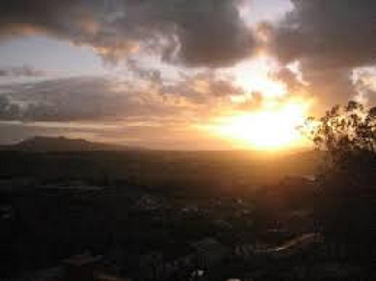 Shepinetree - Pinheira Ξενοδοχείο Vale de Lobos Εξωτερικό φωτογραφία
